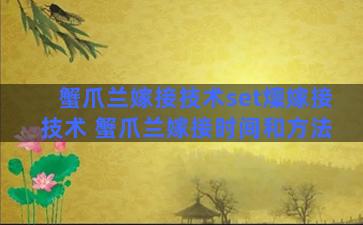 蟹爪兰嫁接技术set燣嫁接技术 蟹爪兰嫁接时间和方法